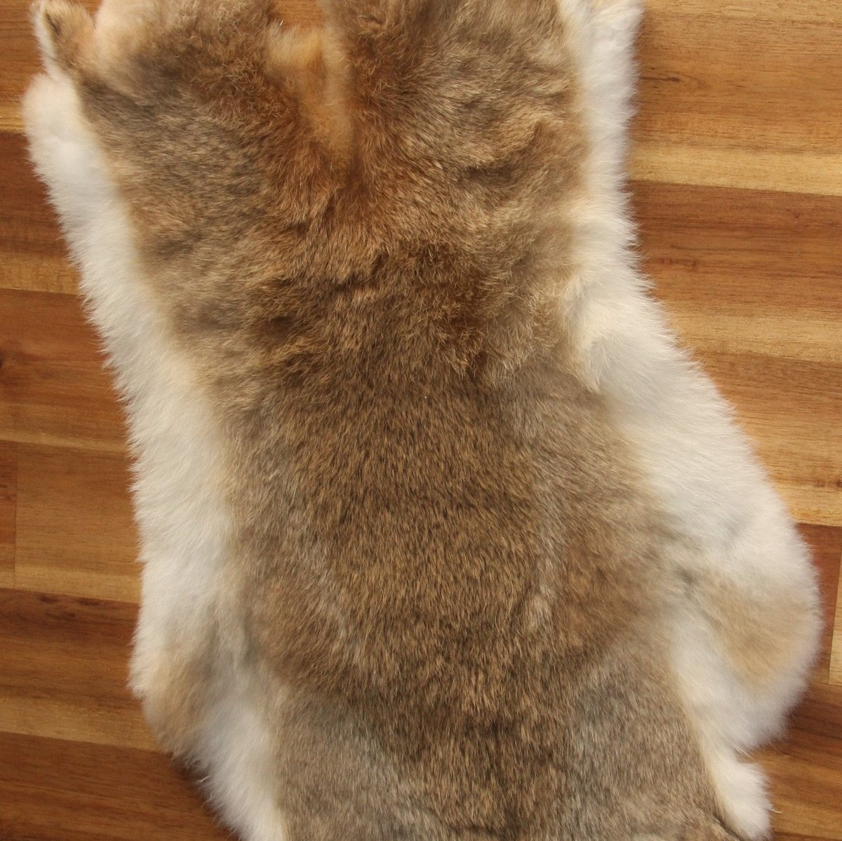 english_rabbit's tweet photo. Thanks for the great review Cormac โ
โ
โ
โ
โ
! https://t.co/3j9nJKy4up #etsy #leatherworking #rabbitfur #rabbitpelt #wildrabbit #brownrabbit #natural #ethical #larp #cosplay https://t.co/aZJU2fV1Iu