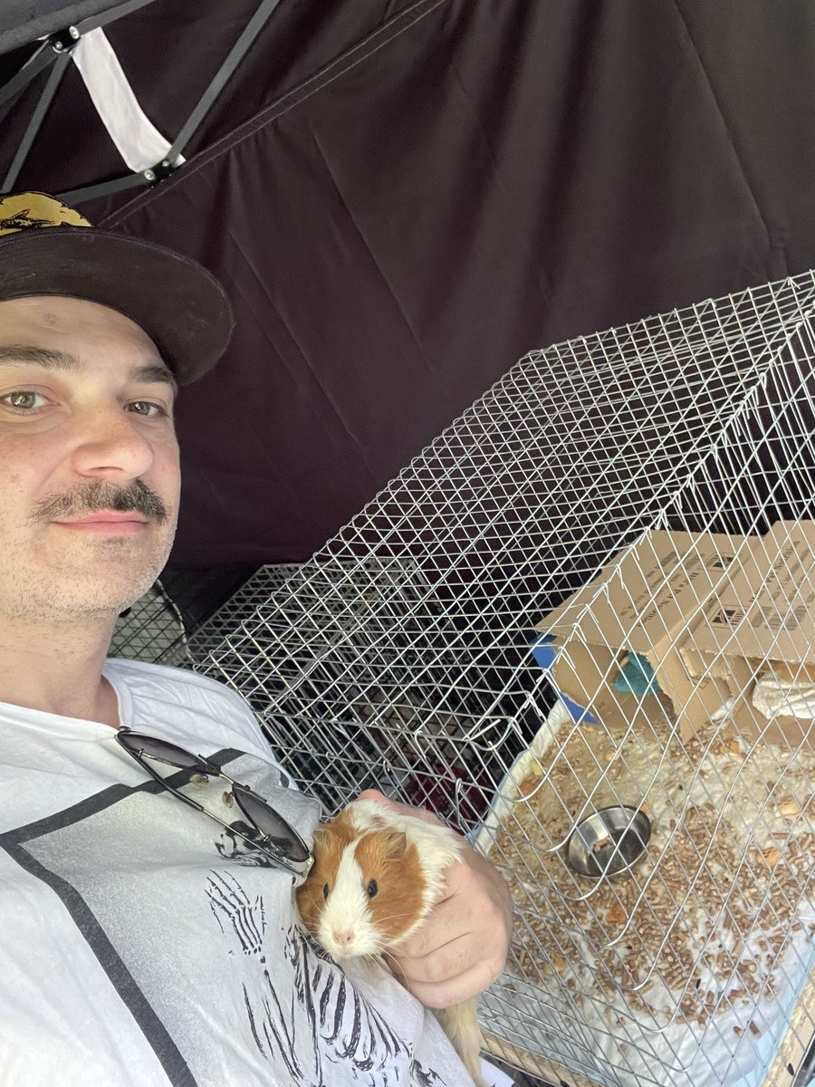 eugenehmg's tweet photo. Not only cats ))) we just receive these 4 little fellas. Will search for a new home now.  Good morning ))) #ukraine #petsofwar #Kyiv https://t.co/3A8gtzXsMc