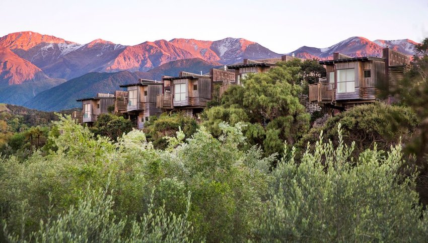 Temur57216535's tweet photo. New Zealand
#HapukuLodge https://t.co/KOFlvyEmm6