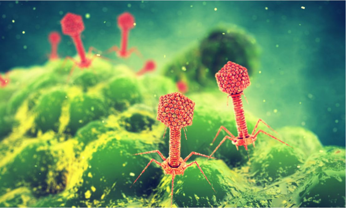 azti_brta's tweet photo. En el Día Mundial de la #InocuidadAlimentaria destacamos algunos ejemplos con los que trabajamos para garantizarla:
➡#Bacteriófagos
➡Estudios de caducidad y #challengetest
➡Identificación de #anisakis
➡Sistemas de detección de contaminantes químicos
📌https://t.co/b0yNT4zijI https://t.co/SI4mNKMEIZ