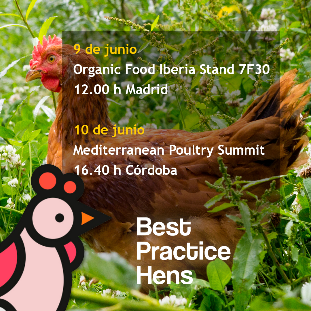 neiker_BRTA's tweet photo. 🐓En el marco del proyecto #BestHens y junto a @Ecovalia participamos en dos eventos de referencia del #SectorAvícola explicando los nuevos sistemas de producción de #huevos sin jaulas por los que apuesta la UE.

ℹ️https://t.co/S4wng6hj4U https://t.co/RdSG0Vxfdp