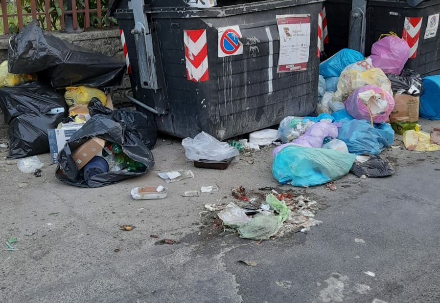 sonoAra's tweet photo. Siamo stati a Roma e dopo "l'incapace" #Raggi finalmente potevamo ammirare la bravura del nuovo sindaco #Gualtieri
Che dire...siamo rimasti a bocca aperta (anche perché respirare con il naso era impossibile, rischiavamo di rimettere)
#roma #capitale #invasa dalla #spazzatura https://t.co/w3qwn7AKsG