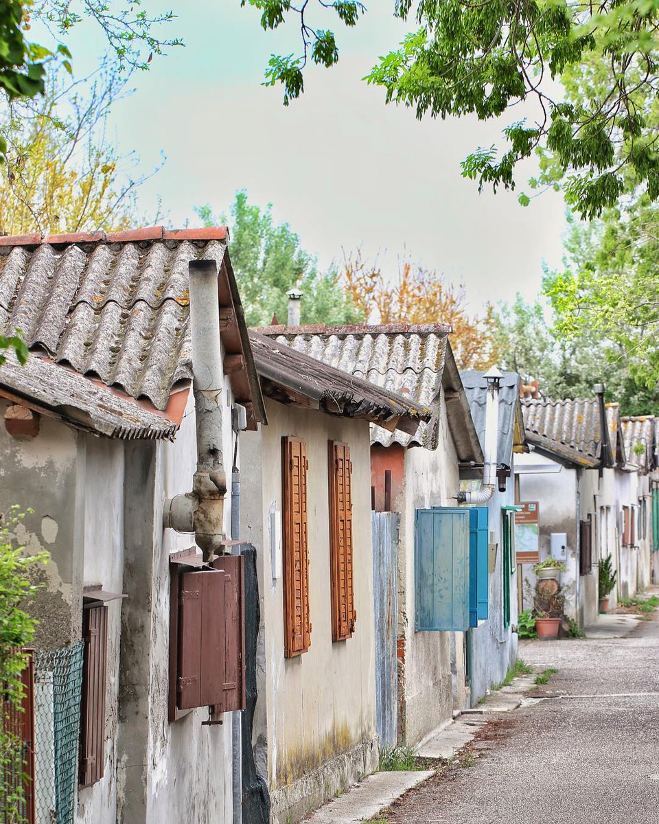 Oggi vi proponiamo un itinerario in bici🚴 verso Valle Cavanata, Fossalon e il villaggio di pescatori di Punta Sdobba.
Non mancheranno visite alle aziende agricole per una sosta ristoratrice dove degustare prodotti del territorio.
👉bit.ly/PercorsoAgriNa…

#iosonofvg