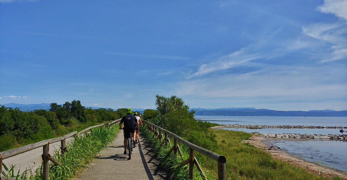 VisitFVG's tweet photo. Oggi vi proponiamo un itinerario in bici🚴 verso Valle Cavanata, Fossalon e il villaggio di pescatori di Punta Sdobba.
Non mancheranno visite alle aziende agricole per una sosta ristoratrice dove degustare prodotti del territorio.
👉https://t.co/4rTF9sKb5e

#iosonofvg https://t.co/ElTPRfw4VN