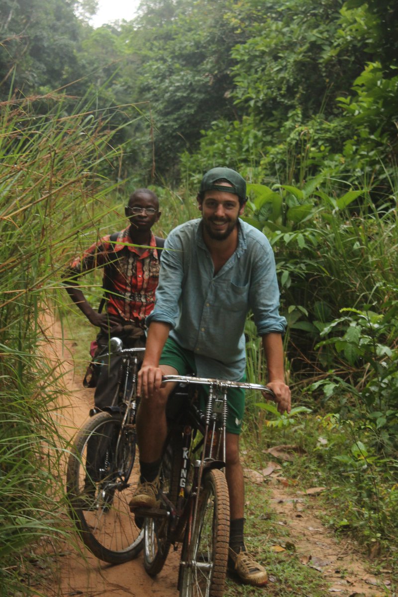 Miro Demol tweet media