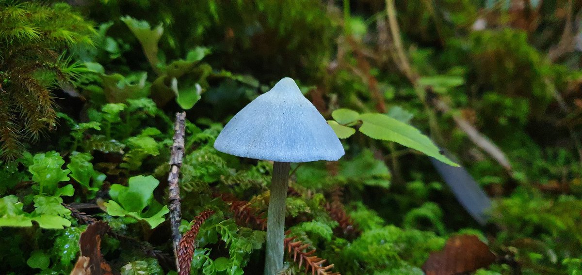 Amy Martin tweet media