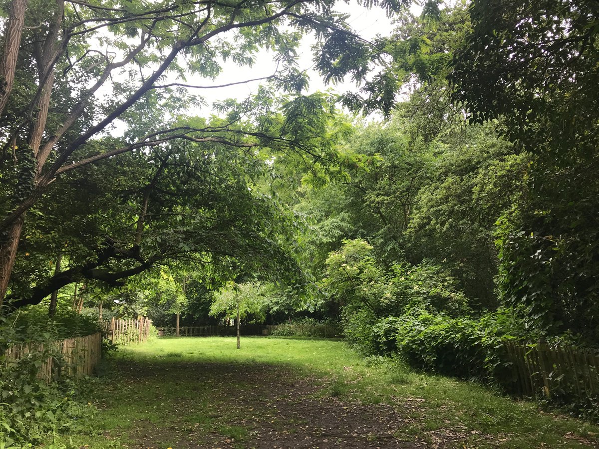 hallamakarem's tweet image. being in nurturing environments where we enJoy ourselves, moving us towards aligned action performed with ease  

bringing this to our "working" spaces is possible, yes!

#creativehosting
#creativeleadership