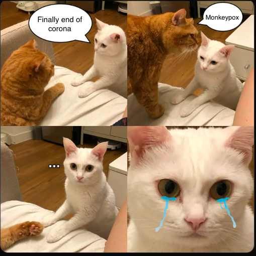 Matthecat3213's tweet photo. @9GAG https://t.co/tXyjkUXYGh