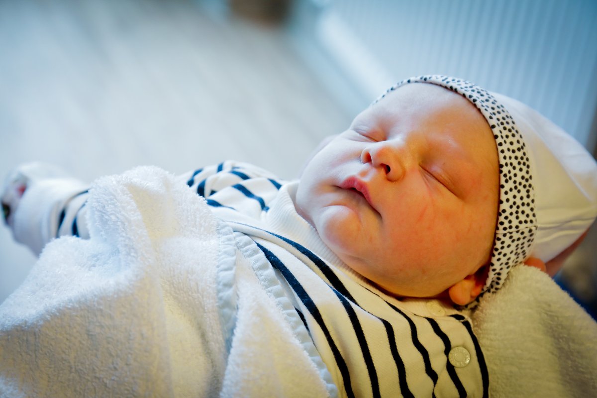 Bernhoven tweet media