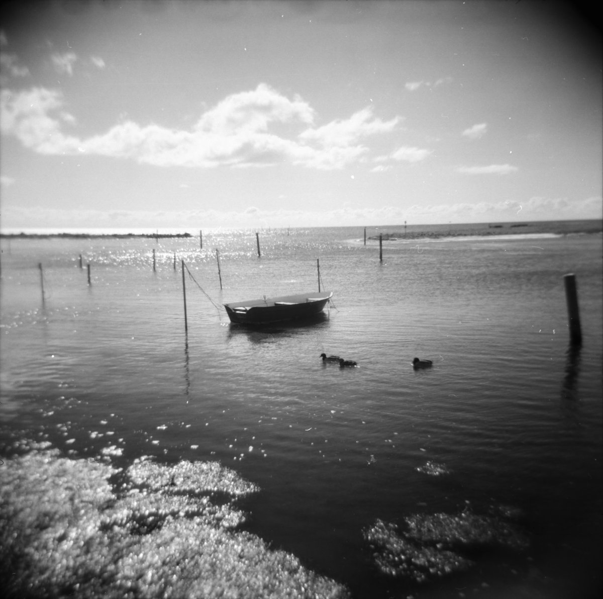 #100DaysOfPhotos day 27:
A Boat

#photography #photooftheday #photo #filmphotography #blackandwhitephotography #lomography #HolgaCamera #selfdeveloped