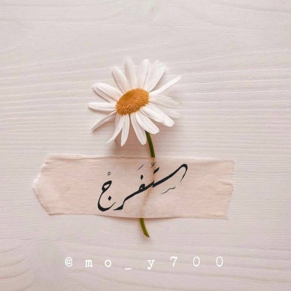 ㅤ

تكسرنا الحياة فيجبرنا #الله ونعود أقوى ،
#ستفرج بأذن الله صدقني .. ♡

⠀ ⠀