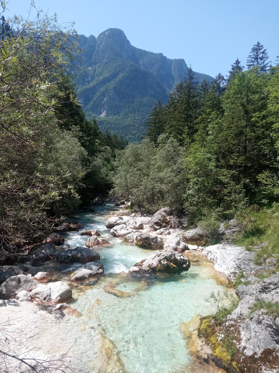 Currently having an awesome time with a lovely bunch of people in #Triglavnationalpark #slowenia #botanize #julianalps