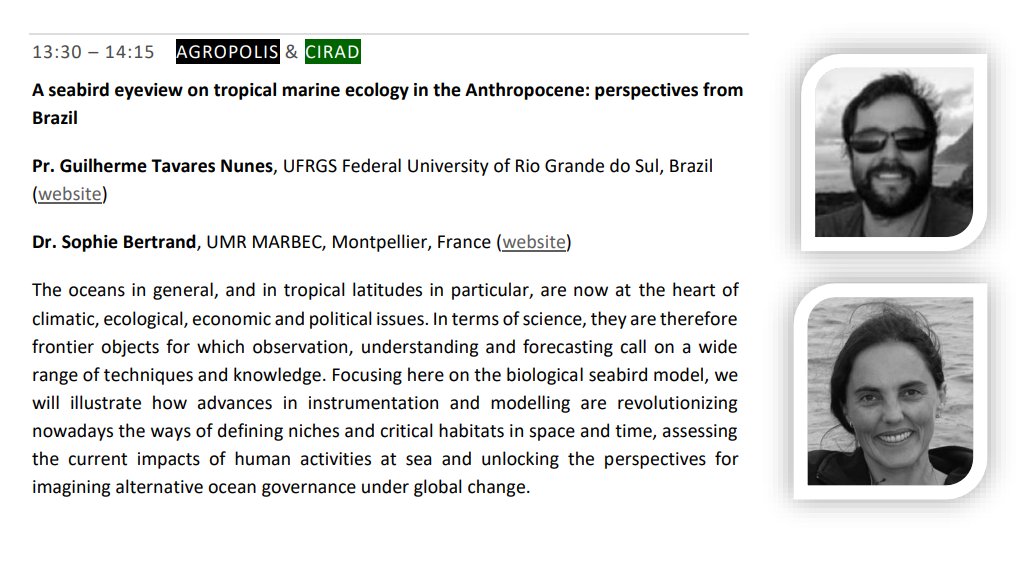 soctropecol's tweet photo. Get ready for our keynote after lunch starting at 13:30. 

We will take a seabird eyeview 👁️ 🕊️ on tropical marine ecology 🌊 together with Guilherme Tavares Nune &amp; Sophie Bertrand. 

Follow us also online via @Vimeo: https://t.co/qzBUmiW9HQ https://t.co/nuasC9ucQM