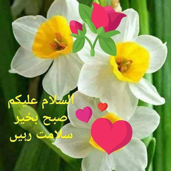 عالی جاہ tweet media