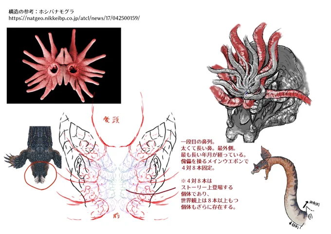 (2/2)
本種の鼻は、
「最外側」「二段目」「三段目」「中心部」に呼び分けられています。
最外側が失われると、二段目の鼻がスライド式に成り代わります。 