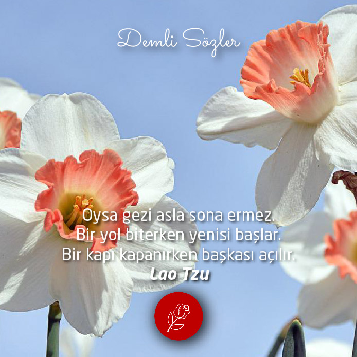 #DolarTL #motorin #tokat #memur #erciyesüniversitesi
demlisozler.com/soz/oysa-gezi-…