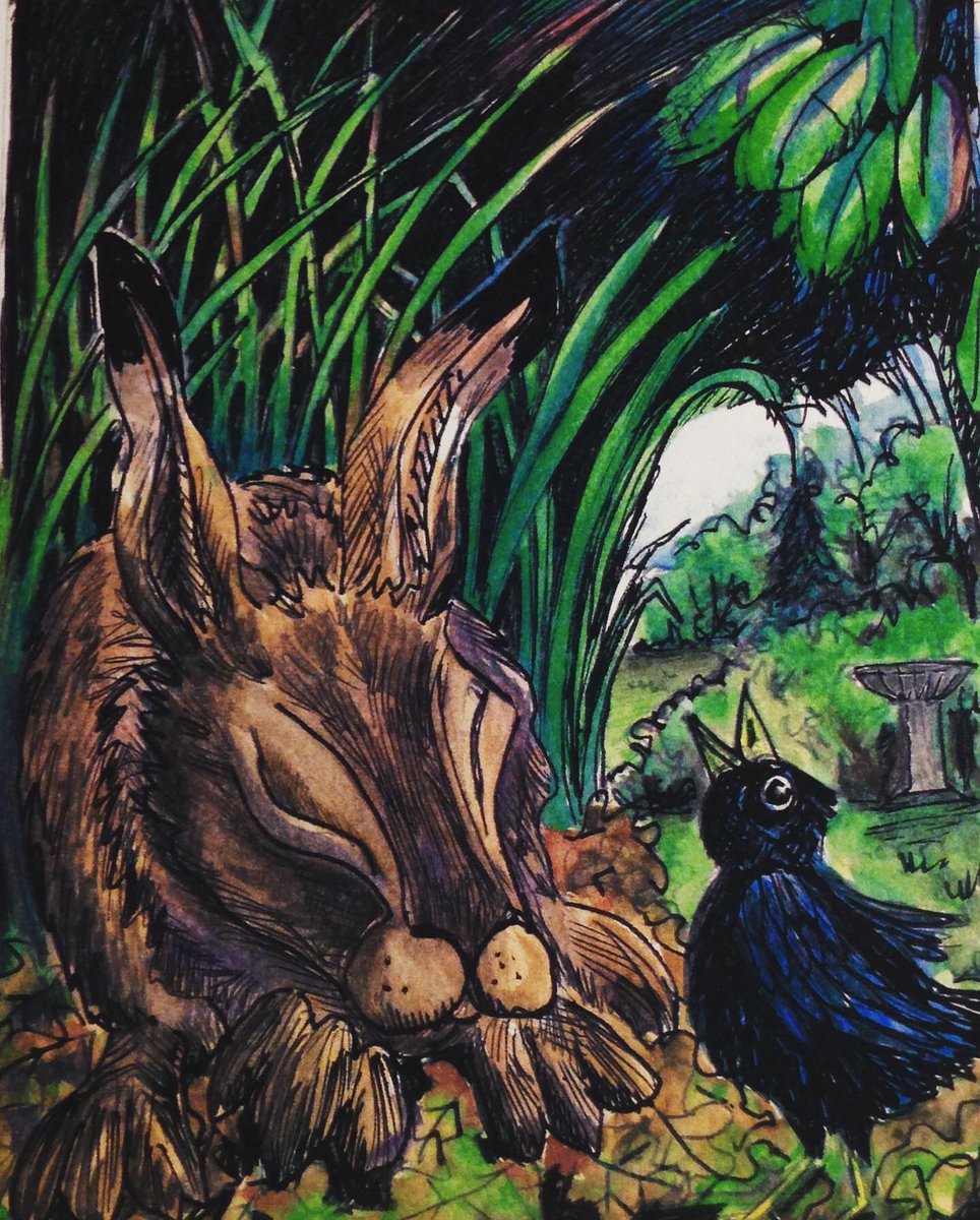 susiehammondart's tweet photo. Wake Up Hare! My illustration hare sleeping @susiehammondart #ChildrensBooks #booklovers #illustrator #suffolkartist #bobandharesadventure #suffolkgarden #suffolklife #suffolkblogger #suffolkcoast #suffolkwildlife #suffolkillustrator #lovelife #bird https://t.co/5gXjeCv8cG