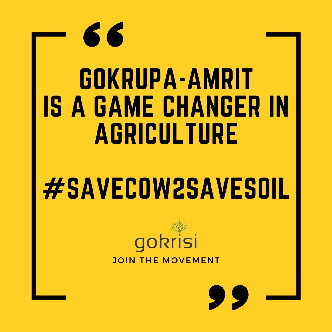 cowismofficial's tweet photo. Know about the amazing #GokrupaAmrit? @bansigir
are distributing the mother culture free to all farmers who have @desicows & want to switch to chemical-free farming. The Founder, Gopal bhai Sutaria truly supports #SaveCow2SaveSoil specially with desi cows local to that geography https://t.co/MD3iujrSYZ