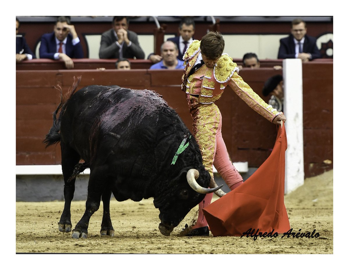 Madrid 02 de junio
Toro de Fuente Ymbro
Foto de Alfredo Arévalo