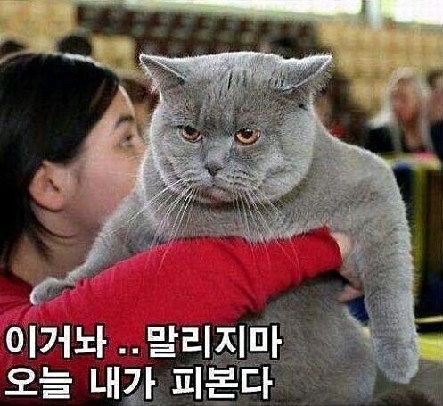 tomhollandkr's tweet photo. 심지어 "귀하는 학문적으로 아주 유망한 학생임을 증명하였으나,다른 학생들의 안전과 학교의 평판도 고려해야 했습니다"라고 써있음

야 나와봐 나와보라고 https://t.co/JYMTmD3mXK