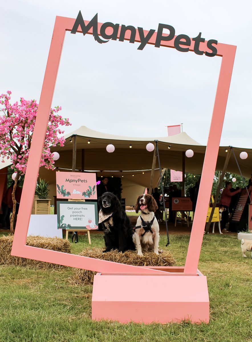 DogfestUK's tweet photo. DogFest x @manypets_uk is the best collab you've ever seen 😊
#dogfest #manypets https://t.co/hXDhdKL2kk