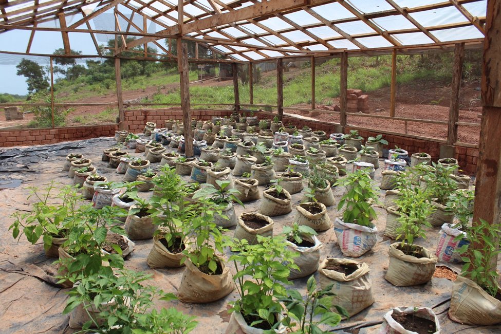 UNOPS Sierra Leone tweet media
