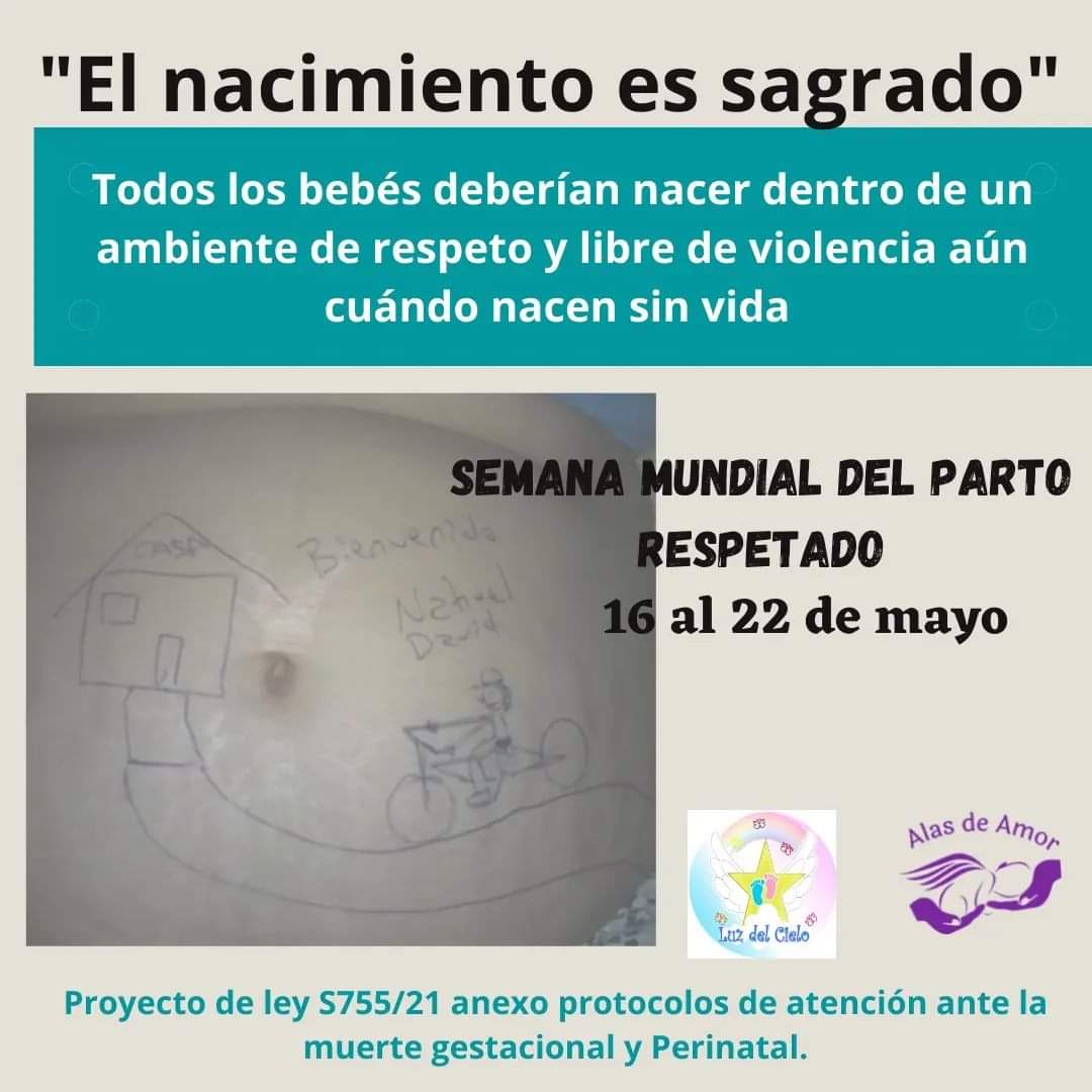 Tu Imagen Mi Recuerdo tweet media