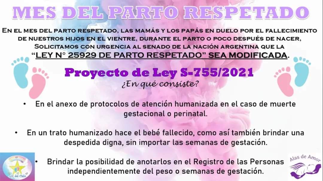 Tu Imagen Mi Recuerdo tweet media