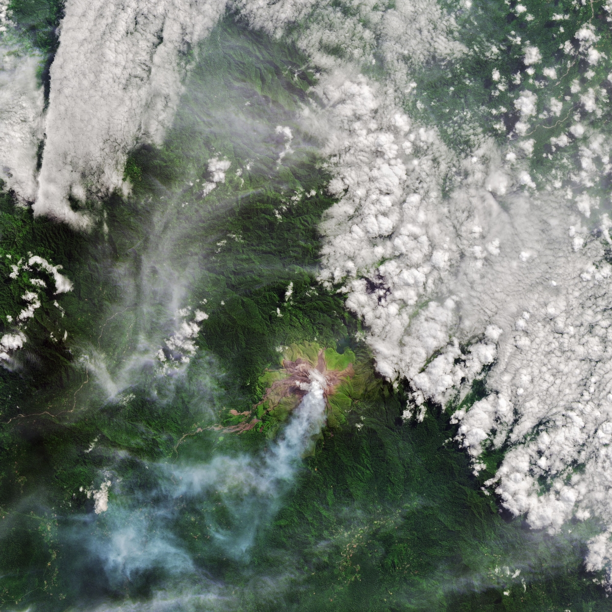 BelgianEO's tweet photo. Check out our youngest newsletter, just hatched! 🪺
🔸the 1st #STEREO_IV call
🔸unmatched #PléiadesNEO quality
🔸a heatwave in the #Arctic
🔸rampant #AirPollution in tropical megacities
🔸Vanuatu's #Climate Emergency
🔸and tons of #EOjobs and #EOevents!
➡️https://t.co/L63bdhqSDU https://t.co/aqd2OAjHjw