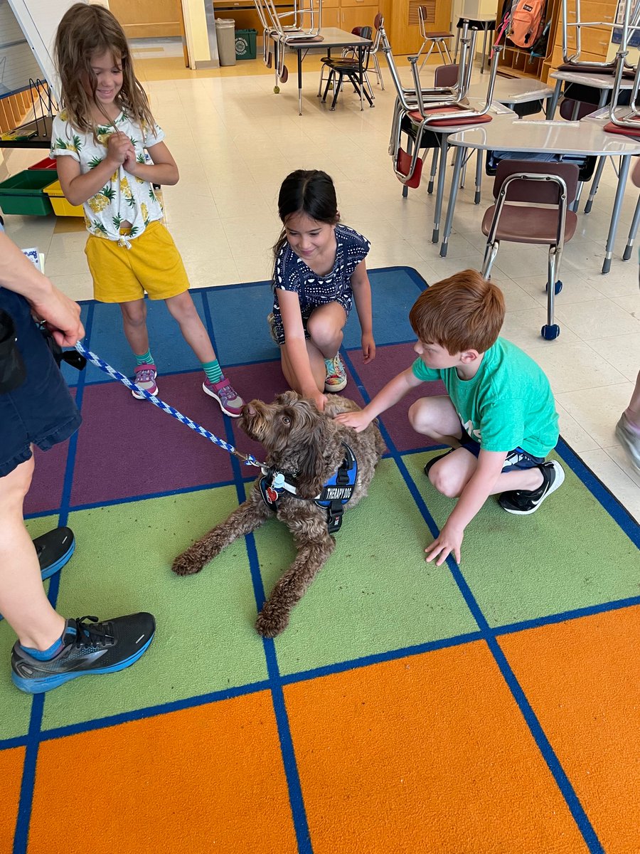 1RFirstGraders's tweet photo. We had a special visitor today! Willy, the therapy dog from Arlington High School, came to visit 1R. Thank you Andrea Razi-Thomas for bringing him. It made our day! 🐶 https://t.co/TcGRrwtElp