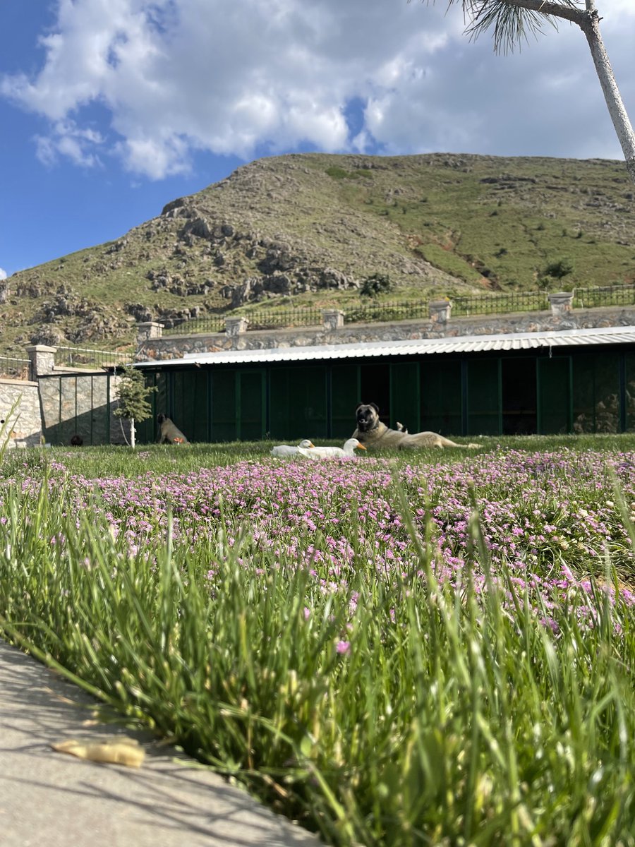 Bağda, çok güzel bir gün