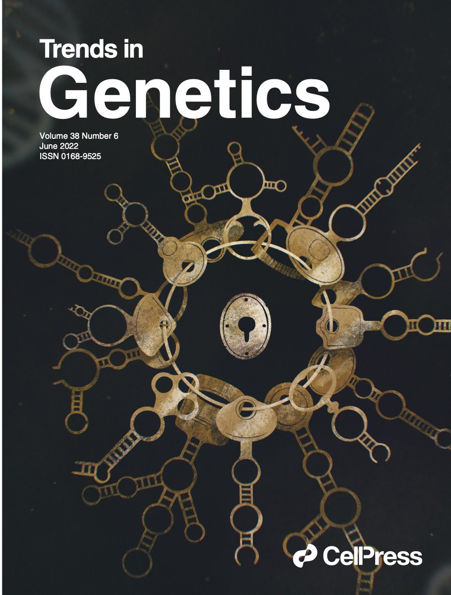 Chair for Clinical Bioinformatics (@ccb_cbi) on Twitter photo We are pleased having contributed an invited #review on Emerging concepts of #miRNA therapeutics currently featured on the cover of <a href="/TrendsGenetics/">Trends in Genetics</a> - Are miRNAs the next therapeutic key? One more impressive #artwork by the amazingly talented <a href="/GalataValentina/">Valentina Galata 🕊️</a> ! <a href="/UdSHumangenetik/">Institute of Human Genetics (Homburg/Saar)</a> We are pleased having contributed an invited #review on Emerging concepts of #miRNA therapeutics currently featured on the cover of <a href="/TrendsGenetics/">Trends in Genetics</a> - Are miRNAs the next therapeutic key? One more impressive #artwork by the amazingly talented <a href="/GalataValentina/">Valentina Galata 🕊️</a> ! <a href="/UdSHumangenetik/">Institute of Human Genetics (Homburg/Saar)</a>
