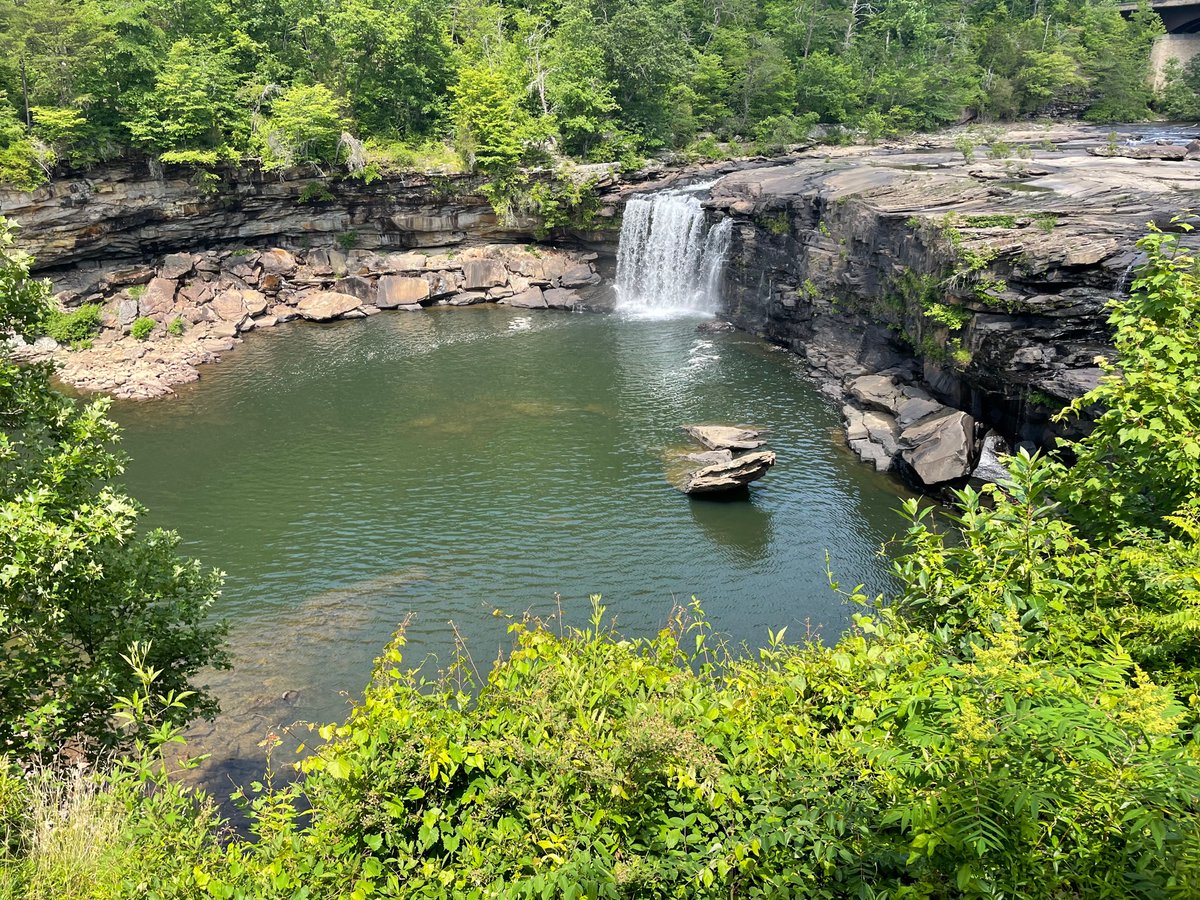 Carla Atkinson tweet media