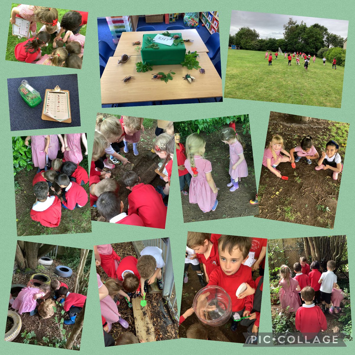 llysfaen2028's tweet photo. Today has been full of awe and wonder for the children in RHT! We received a letter and a mysterious package from Denzel the Nature Detective asking for our help. We had so much fun looking for minibeasts in our school grounds! #TopicLaunch #Whatisinyourgarden? #SummerFun https://t.co/xHnGoLMrL7