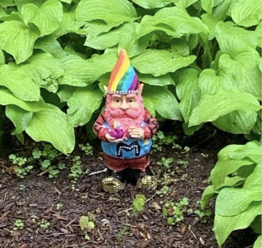 Deidre (Dee) Henne tweet media