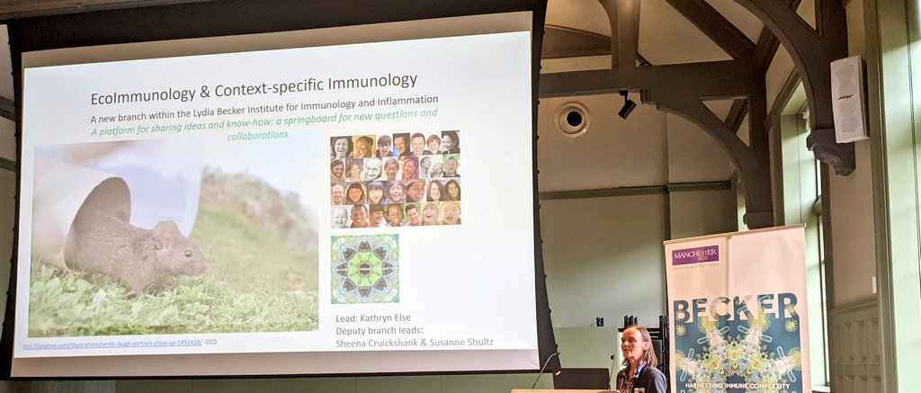 LydiaBeckerIII's tweet photo. Now, @kathelse launches an exciting new Branch of The Becker - EcoImmunology and Context-specific Immunology- looking at how the immune system is shaped/operates in natural settings. 

@kathelse is the Branch Lead with @sheencr and Professor Susanne Shultz as Deputies #LBISS2022 https://t.co/a11epncOxj
