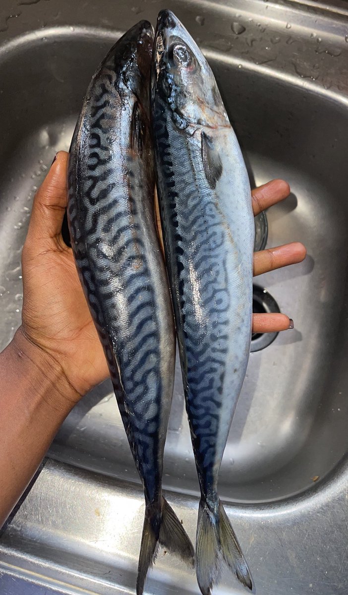 Oluwatomilola Anike💜 tweet media