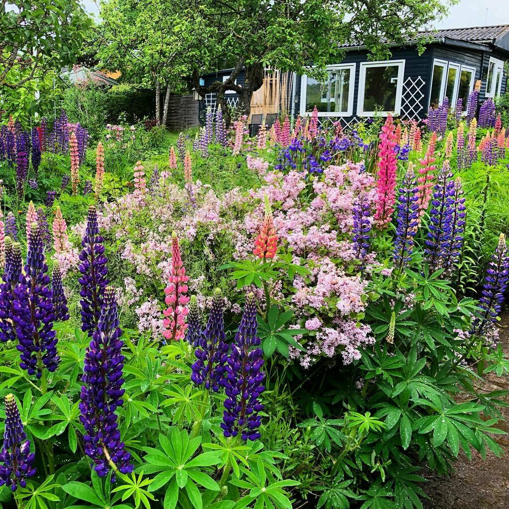 Nathan Brown tweet media