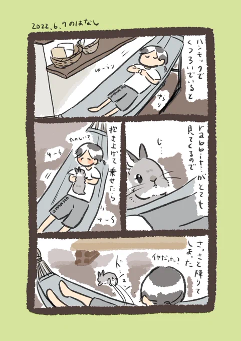 今日のrabbit…
#うさぎのいる生活 