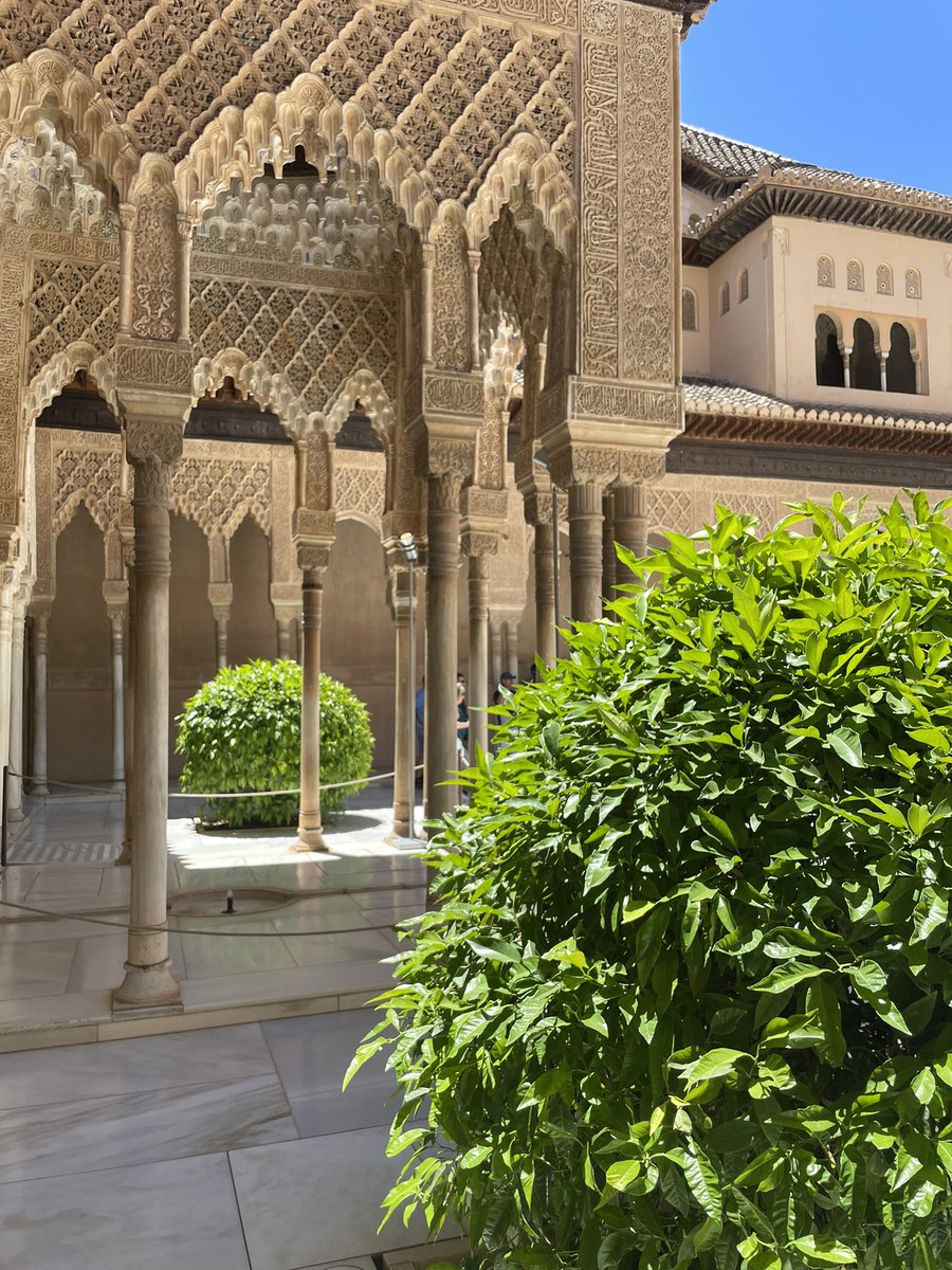 NJ Architects tweet media