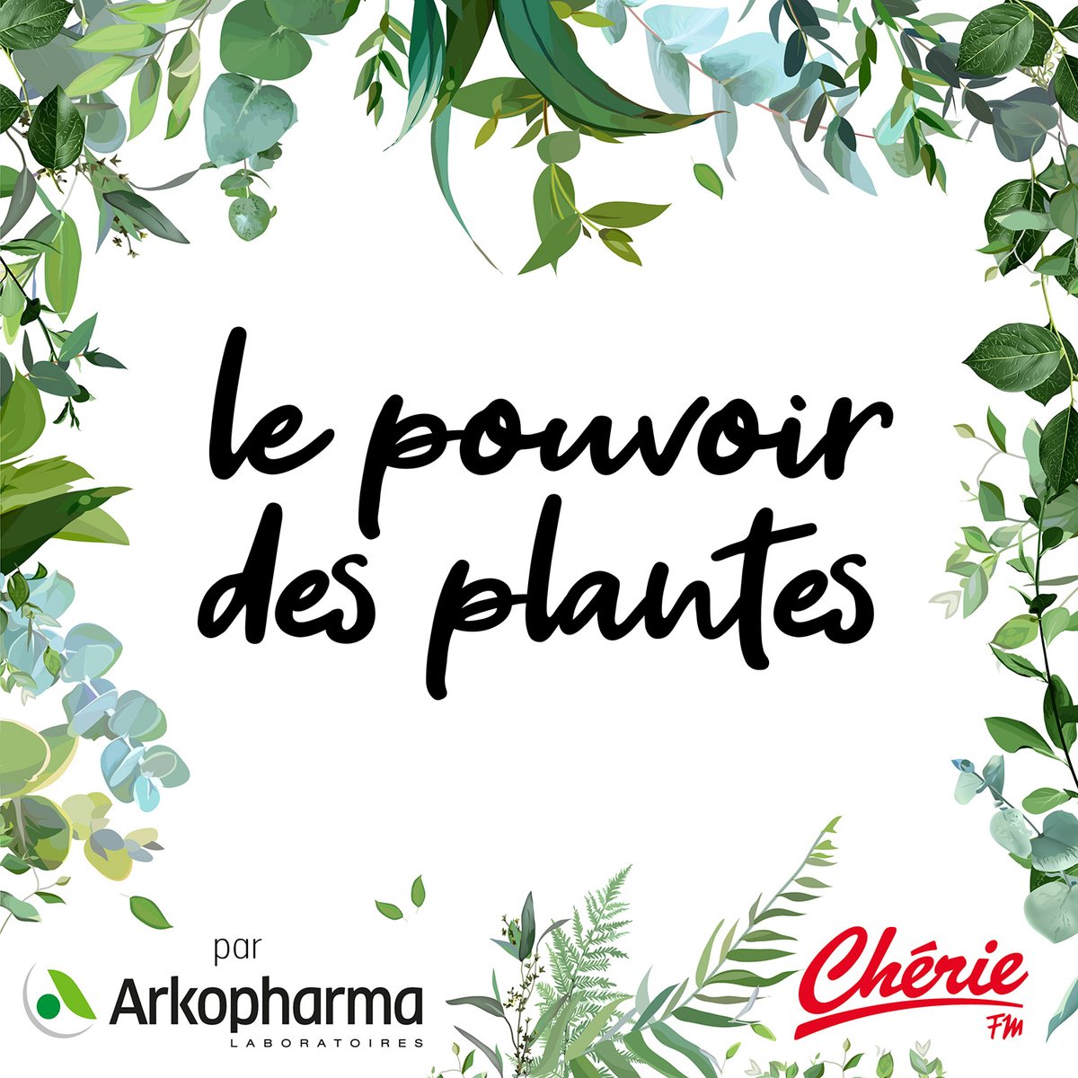 #Podcast

Les équipes de #Enrj et de #NRJGlobal ont conceptualisé un nouveau podcast pour <a href="/Arkopharma/">Arkopharma</a> "Le pouvoir des plantes" 🌼

🎧 Ce podcast #ChérieFM, écrit et présenté par Aurélie Canzoneri, décortique le pouvoir et les bienfaits des plantes 🌿

👉 bit.ly/3NiHsYn