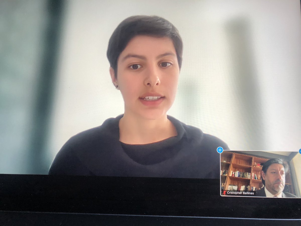crisballinas's tweet photo. Comienza el primer panel, el cual pretende realizar una taxonomía para la #Prevención; con el fin de identificar elementos que permitan crear o fortalecer #Instituciones que permitan garantizar la labor de personas #Periodistas y defensoras de #DH y es moderado por @NatSoSaeb https://t.co/CDzaMn6mz5