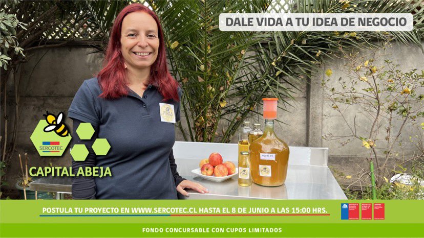SERCOTECSexta's tweet photo. El #CapitalAbeja🐝  entrega un aporte máximo de $3.500.000 para invertir en tu emprendimiento o idea de negocio.
 
¡Haz realidad tus sueños! ¡Esta es tu oportunidad!  Ingresa a https://t.co/g43GGeou2F y descarga las bases de la convocatoria. https://t.co/gA9L87V8W6
