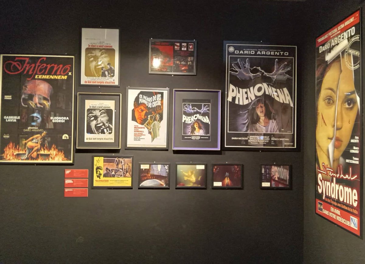 InStereotype13's tweet photo. Da L'Uccello Dalle Piume di Cristallo a Occhiali Neri, il @museocinema di #Torino celebra l'oltre mezzo secolo di carriera di Dario #Argento, a cavallo tra #cinema di #genere e d'#autore. 

https://t.co/xYCBxlUujQ https://t.co/dh2jjIghWW