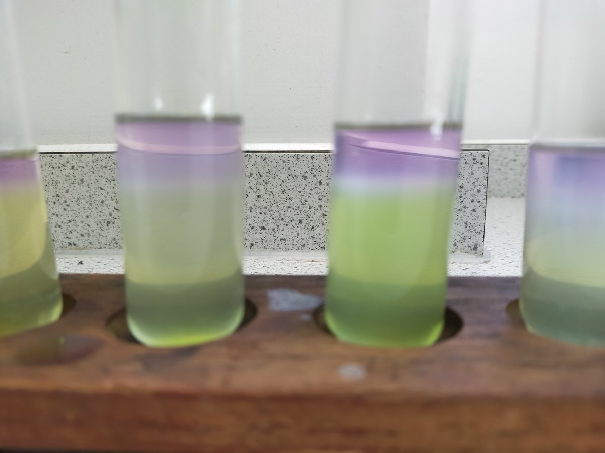 Extracting the pea (DNA) with Higher Biology
