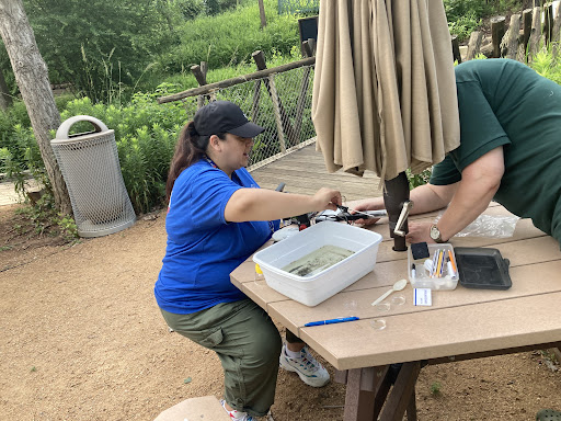 disdstemscience's tweet photo. Got outdoor PD? We do! Teachers are learning about outdoor classroom investigations in the Texas Native Wetlands Learning Gallery at the @dallasarboretum @dallasschools Teachers Come and join us for the afternoon session at 12:30 @sciencejenny @HardnScience https://t.co/TXXJw31Z9n