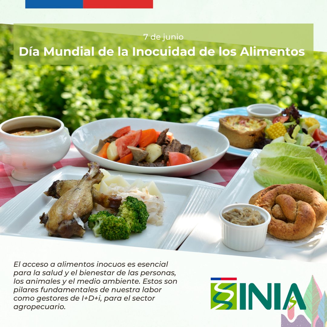 iniachile's tweet photo. Alimentos inocuos y de calidad para la población nacional, es un propósito fundamental de los servicios @MinagriCL como @ACHIPIA , actor clave y nuestro colaborador estratégico en la materia 🧀🥛🍅

#diamundialdelainocuidadalimentaria https://t.co/rA7Y6YOpMP