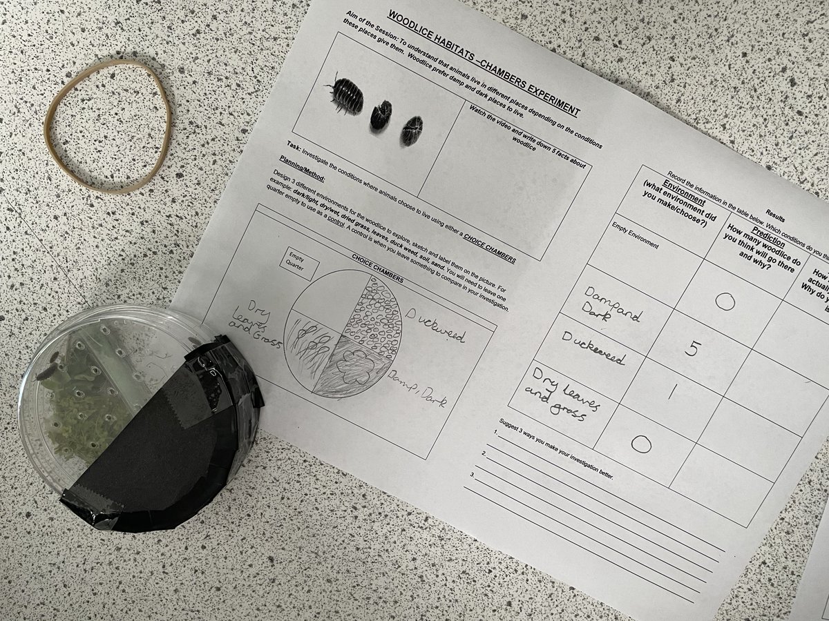 sirjohnlawes's tweet photo. Class two @CrabtreeJnr looking at habitats, making predictions on the ideal habitat for woodlice. Will it be dry and bright, or dark and damp?

Thank you to Crabtree pupils for being enthusiastic in your learning and impeccably behaved.

@SJLScience https://t.co/oJ9A6Ladcn
