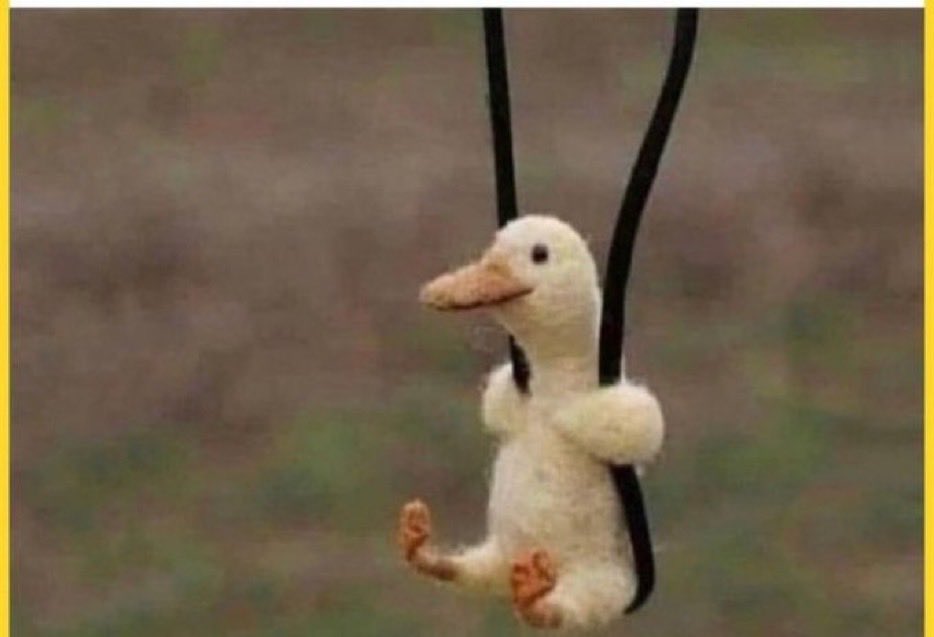 The only thing you can get in  Zimbabwe 🇿🇼 without connections is pregnancy.😞😞🙌🏻