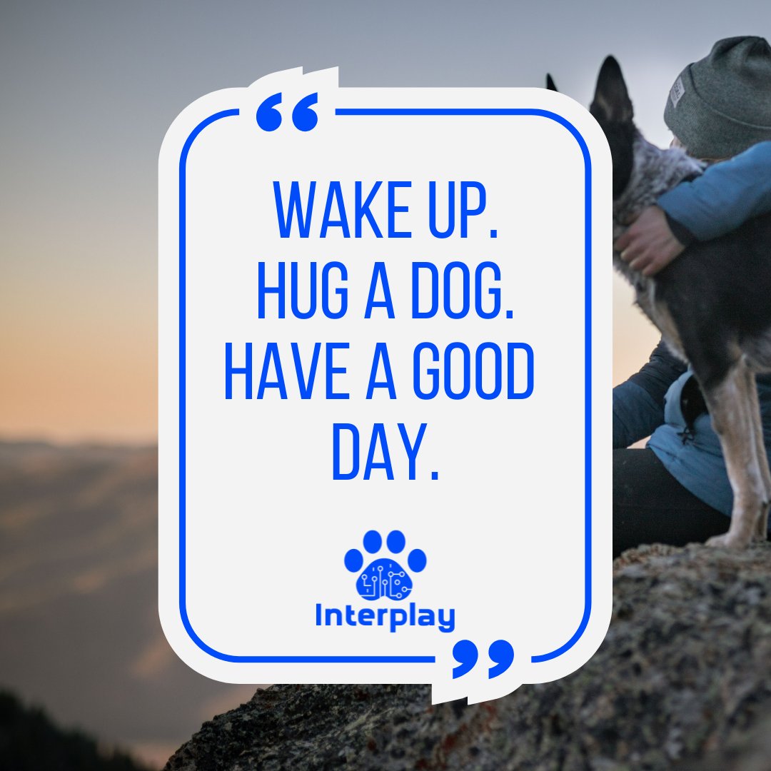 InterplayGo's tweet photo. Simple as that! 🐶❤️
#doglove #hugadog https://t.co/y4Xc8kS0uT